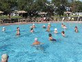IMG_6905