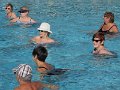 IMG_6908