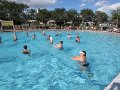 IMG_6911
