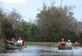 IMG_0042