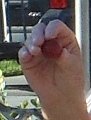 DSCN3178