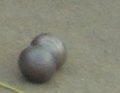 DSCN3192