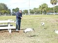 DSCN1445