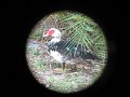 dernier diner a ile aux canard 023