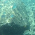 IMG_0127_(1)