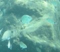 IMG_0129 (1)