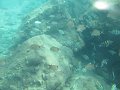 IMG_0149 (1)