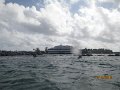 IMG_0007