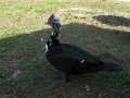 IMG_0224