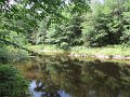 IMG_0050