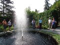IMG_6250