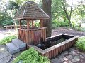 IMG_6265