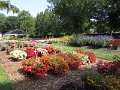 IMG_6270