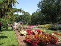 IMG_6271