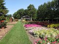 IMG_6272