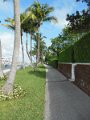 SortieIntercostal 011