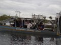 everglades 002