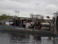 Everglades