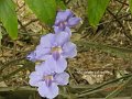 DSCN1495