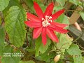 DSCN1498