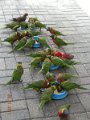 DSCN1547
