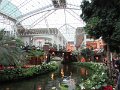 IMG_0482