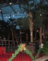 IMG_0501
