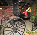 IMG_0551