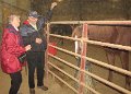 IMG_0567