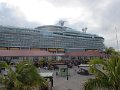 IMG_1006