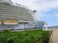 IMG_1029