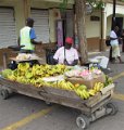 IMG_1043