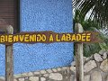 IMG_1082