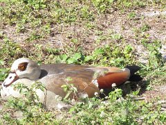 IMG_6814